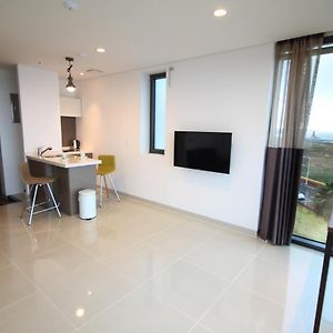 Standard Studio